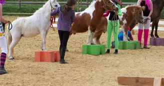 Centre équestre Poney Club du Couret Centre équestre Poney Club du Couret