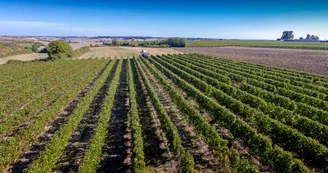Domaine des Princes Domaine des Princes