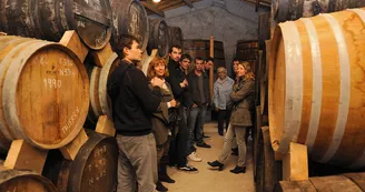 Domaine des Claires Domaine des Claires
