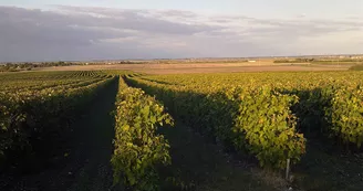 Domaine des Claires Domaine des Claires