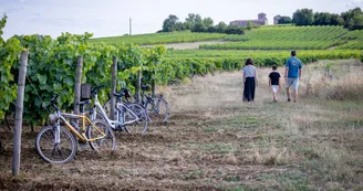 Vignoble H. Begey Vignoble H. Begey