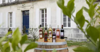 Vignoble Février Vignoble Février