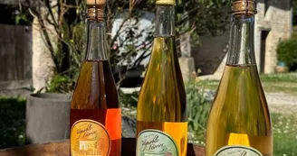 Vignoble Février Vignoble Février
