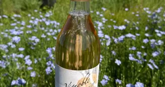 Vignoble Février Vignoble Février