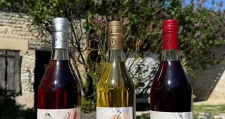 Vignoble Février Vignoble Février