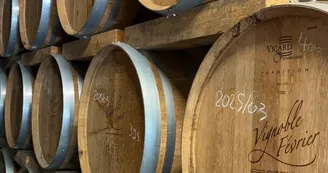 Vignoble Février