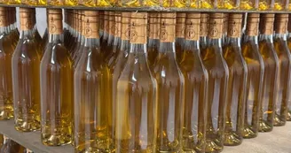 Vignoble Février