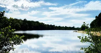 Plan d'eau de l'étang vallier Plan d'eau de l'étang vallier