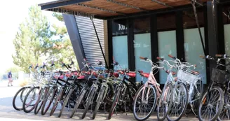 Les Vélos de Fouras Les Vélos de Fouras