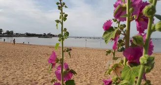 Escale Détente à Fouras