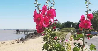 Escale Détente à Fouras