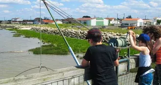 Écomusée de la Presqu'île - Les Cabanes de l'Estuaire Écomusée de la Presqu'île - Les Cabanes de l'Estuaire