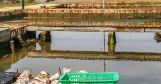 Écomusée de la Presqu'île - Les Cabanes de l'Estuaire Écomusée de la Presqu'île - Les Cabanes de l'Estuaire