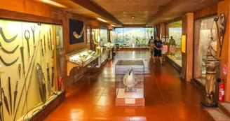 Musée Africain Musée Africain