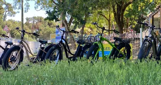 Drive Cycles Ronce-les-Bains Drive Cycles Ronce-les-Bains