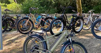 Drive Cycles Ronce-les-Bains Drive Cycles Ronce-les-Bains