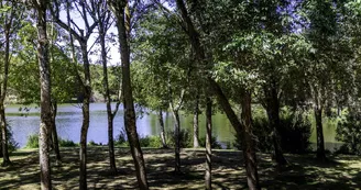 Parcours d'orientation vert - Le Lac de Saint-Palais Parcours d'orientation vert - Le Lac de Saint-Palais