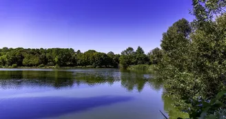 Parcours d'orientation vert - Le Lac de Saint-Palais Parcours d'orientation vert - Le Lac de Saint-Palais