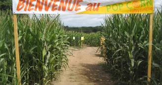 Pop Corn Labyrinthe Pop Corn Labyrinthe