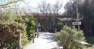 Camping Le Chassiron Camping Le Chassiron