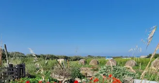 Camping Le Chassiron Camping Le Chassiron