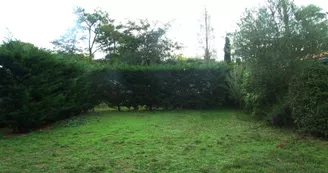 Le Sous-Bois Le Sous-Bois