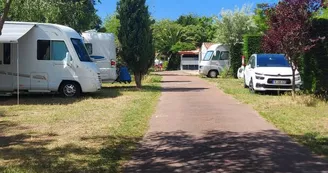 Le Sous-Bois Le Sous-Bois