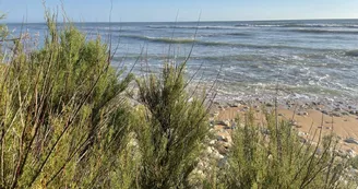 Camping Les Flots-Atlantique Camping Les Flots-Atlantique