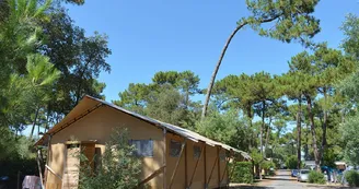 Camping Les Pins d'Oléron Camping Les Pins d'Oléron