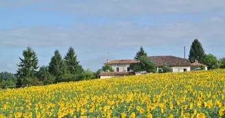 Camping Chez Sarrazin Camping Chez Sarrazin