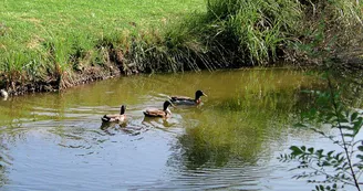 Camping Le Val Vert Camping Le Val Vert