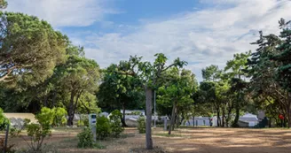 Camping Les Sables Vignier Plage Camping Les Sables Vignier Plage