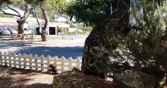 Camping Les Sables Vignier Plage Camping Les Sables Vignier Plage