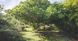 Jardin du Riollet Jardin du Riollet