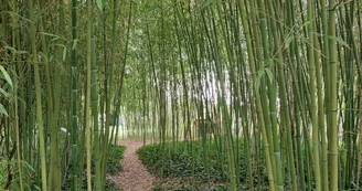 Jardin du Riollet Jardin du Riollet