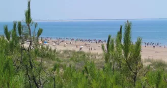 Plage de la Grande Côte Plage de la Grande Côte