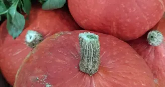 Escale Fermière Escale Fermière