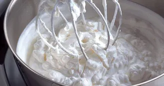 L'Écume 2.0 L'Écume 2.0