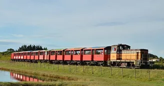 Train des Mouettes Train des Mouettes