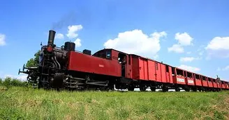 Train des Mouettes Train des Mouettes