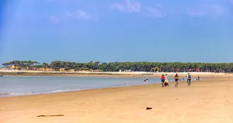 Plage des Pins de Cordouan Plage des Pins de Cordouan