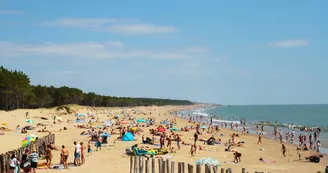 Plage des Pins de Cordouan Plage des Pins de Cordouan