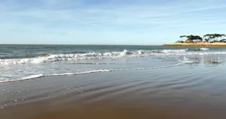 Plage des Pins de Cordouan Plage des Pins de Cordouan
