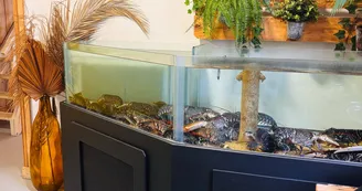 La Table de la Cèpe - Bistrot contemporain