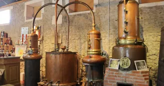 Galerie de l'alambic - Art distillé Galerie de l'alambic - Art distillé