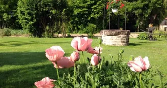 Le Clos du Plantis Le Clos du Plantis