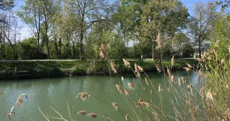 Aire de pique-nique rive gauche