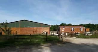 Le Petit Carrousel Le Petit Carrousel