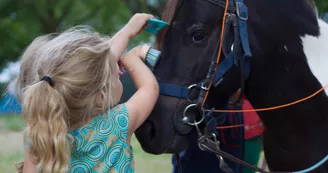 Le Petit Trot Cormillon Le Petit Trot Cormillon
