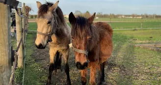Le Petit Trot Cormillon Le Petit Trot Cormillon